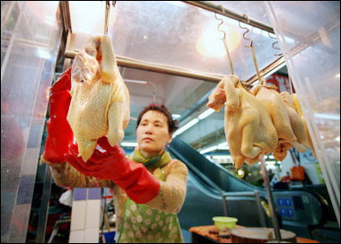 WHO: Bird flu bigger challenge than AIDS