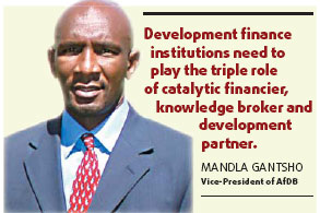Development finance plays multi faceted role in economy