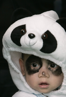 Panda babies celebrate Hong Kong's handover to China