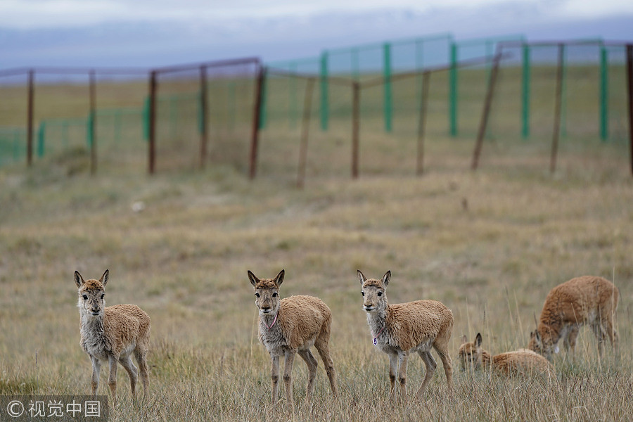 2% of land to be used to protect wildlife, pristine areas