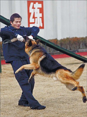 Shanghai-hound: K-9s on the beat