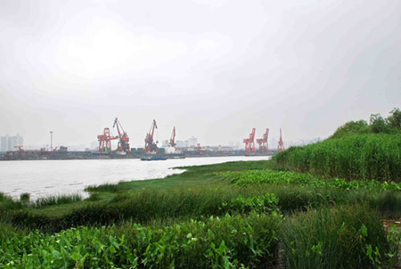 Expo site will include wetland park