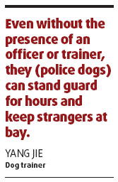 Shanghai-hound: K-9s on the beat