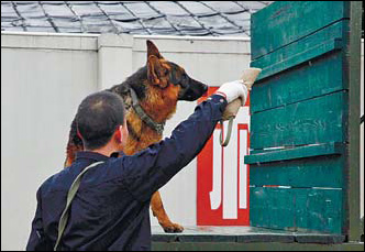 Shanghai-hound: K-9s on the beat