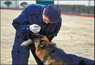 Shanghai-hound: K-9s on the beat