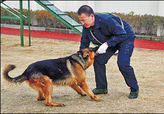 Shanghai-hound: K-9s on the beat