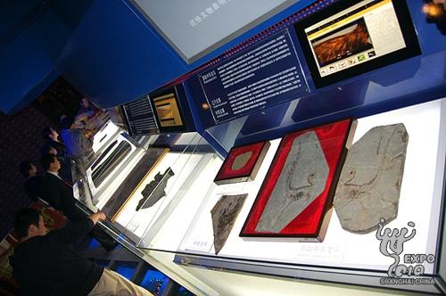 Earliest 'bird' fossil on display in Liaoning Pavilion