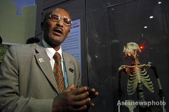 Lucy, 3 million years old, on display at Expo