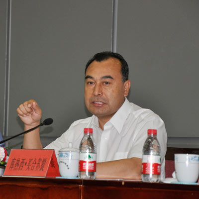 Growth key to Xinjiang's future, says official