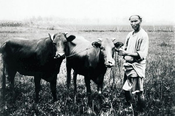 Online photo exhibition of China in Development (1911-2011)