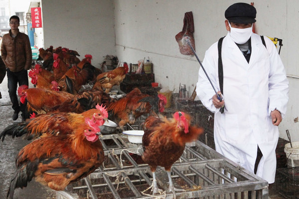 18th bird-flu case recorded