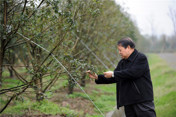 Delegate engaged in environmental protection