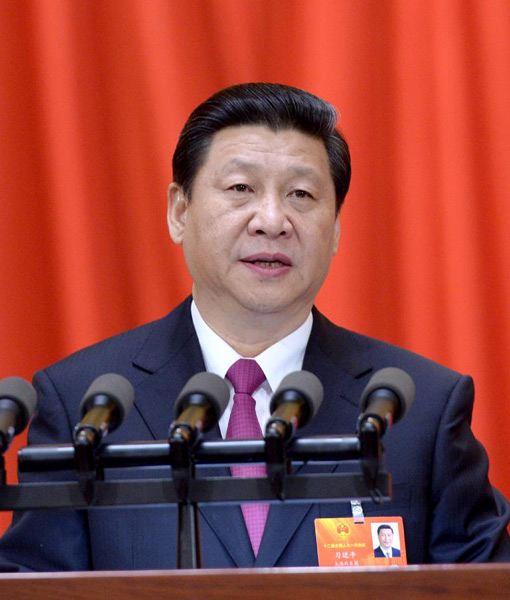 Xi vows to press ahead with 'Chinese dream'