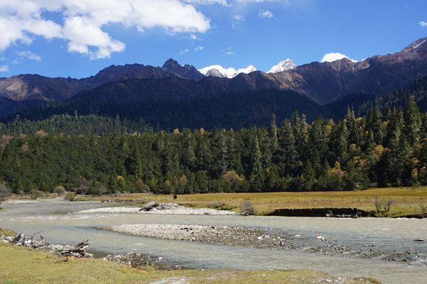 Tibetan town to transform itself into intl tourism destination