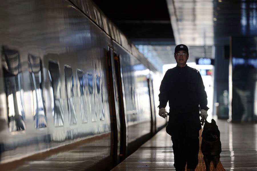 Police dogs on duty during China's Spring Festival travel rush