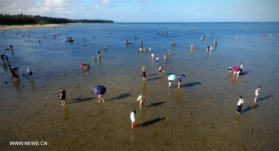 Marine products collecting festival kicks off in S China's Hainan