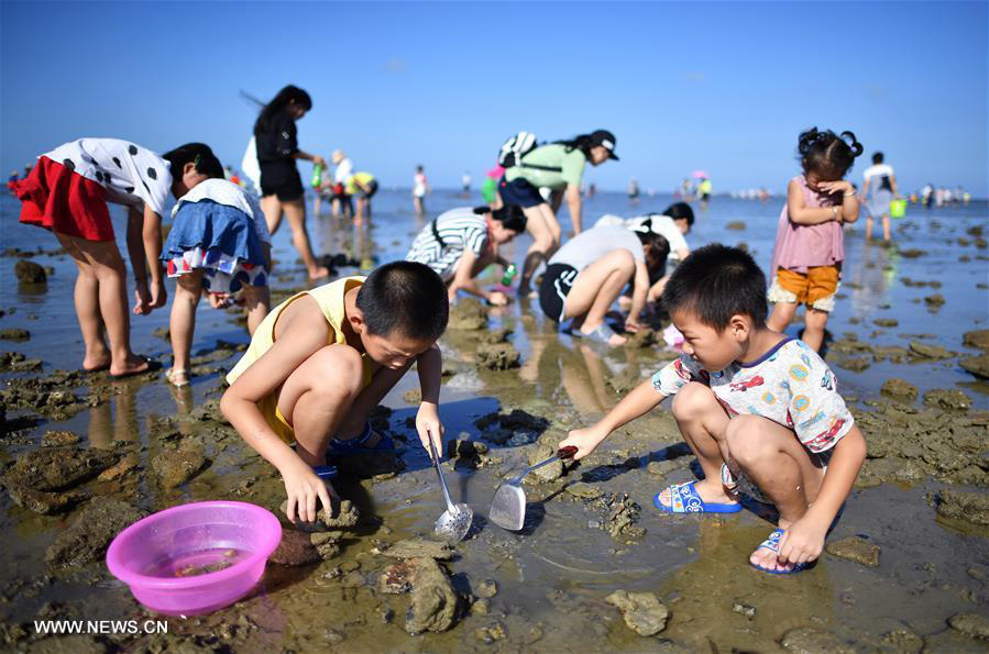 Marine products collecting festival kicks off in S China's Hainan