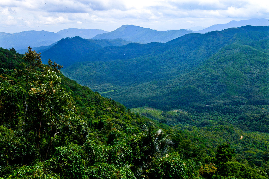 Bawangling National Nature Reserve in Hainan