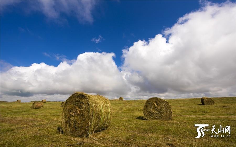 Rolls of grass: a beautiful landscape in Xinjiang