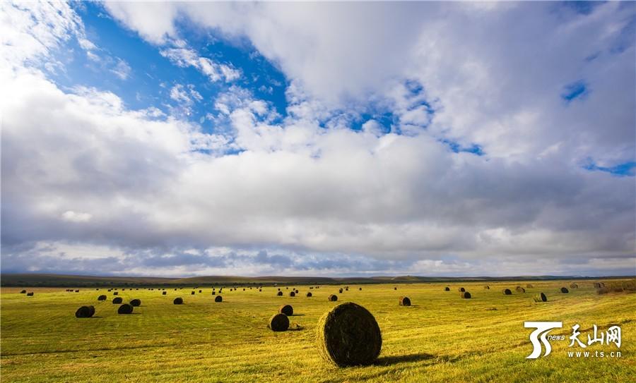 Rolls of grass: a beautiful landscape in Xinjiang