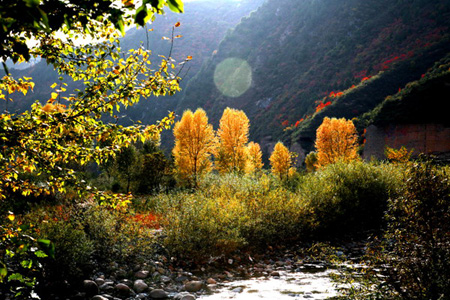 Scenic spots in NW China's Fengxian County