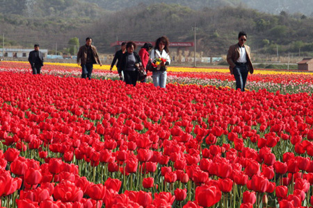 Scenic spots in NW China's Fengxian County