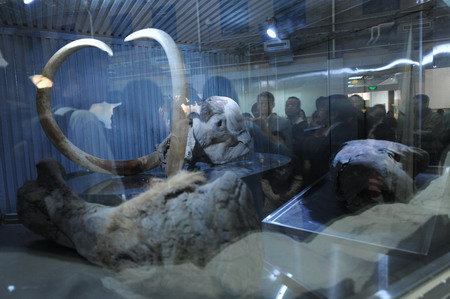 Ancient mammoths on display in Beijing