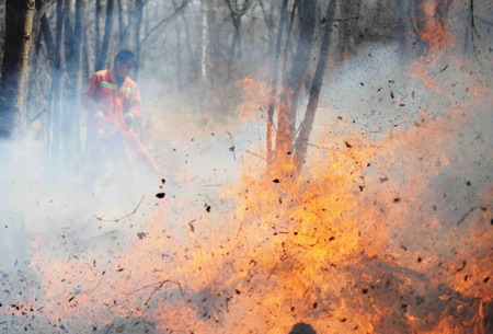 Forest fire rages on in NE China, 1 killed