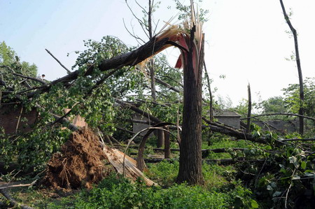 Storm kills 22 in China, 117 injured