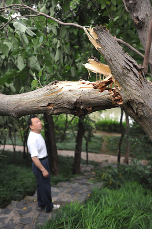 Storms and downpours sweep China, killing at least 50