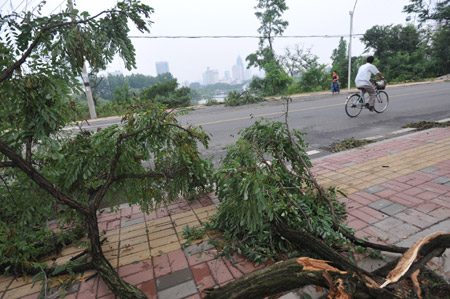 Storms and downpours sweep China, killing at least 50