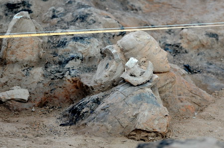 China starts 3rd dig-up of terracotta warriors