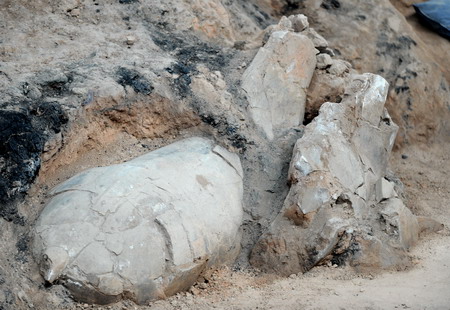 China starts 3rd dig-up of terracotta warriors