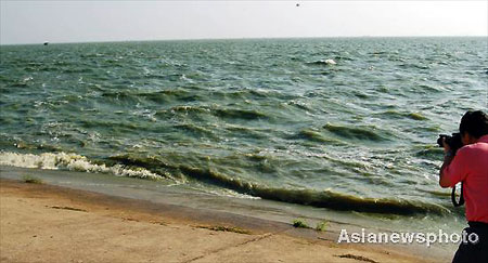 Chaohu Lake faces imminent algae outbreak