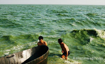 Chaohu Lake faces imminent algae outbreak