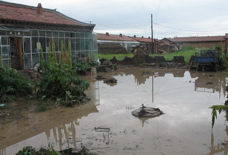 Heavy downpour kills 5 in Gansu