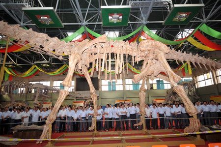 Dinosaur fossils on display in NW China city