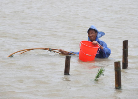 Hotel swept into river after typhoon