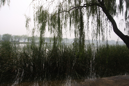 A landscape comes from a landfill in Tangshan