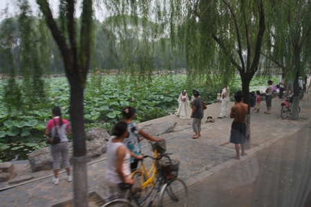 A landscape comes from a landfill in Tangshan