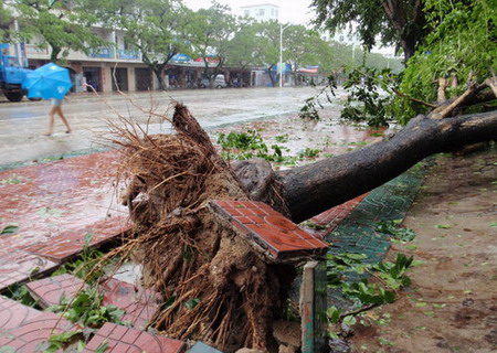 Storm Parma churns south China, 3 dead