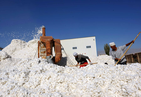 Cotton harvest in China's Xinjiang