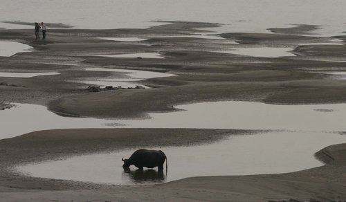 Drought lingers in southern, eastern China