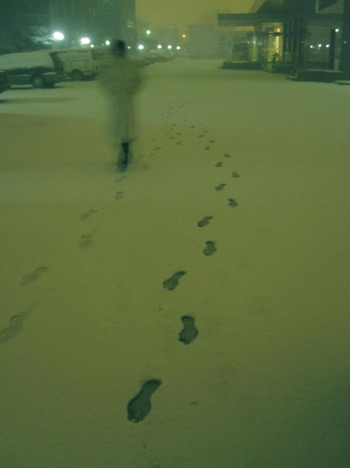 Beijing embraces heavy snow