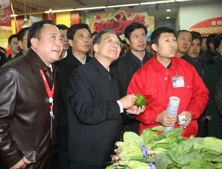 Premier Wen visits blizzard-hit province