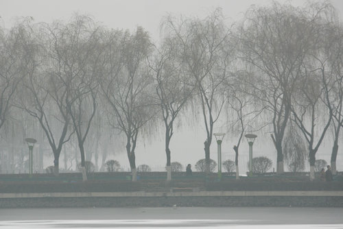 Heavy fog shrouds N China, disrupting traffic