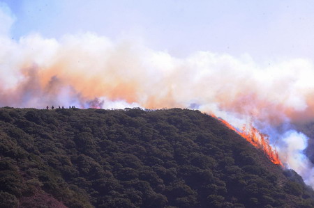 Fire raging in SW China forest for three days