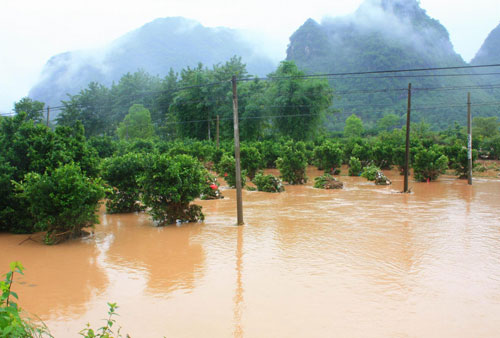 Torrential rains leave 3 dead, 1 missing in SW China