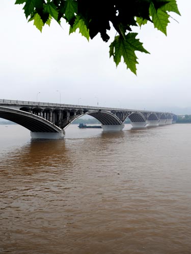 Torrential rains continue to pound S China regions