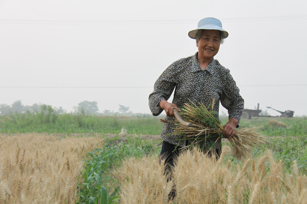 China expects good summer harvest despite drought